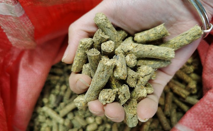 秸稈顆粒機(jī)就是將粉碎后的秸稈制成顆粒飼料，用于飼喂牛羊
